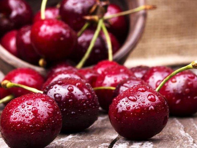 Вишня купить саженцы из питомника в Горловке
